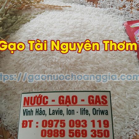 Gạo Tài Nguyên Thơm