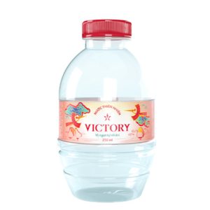 Nước suối Victory 250ml